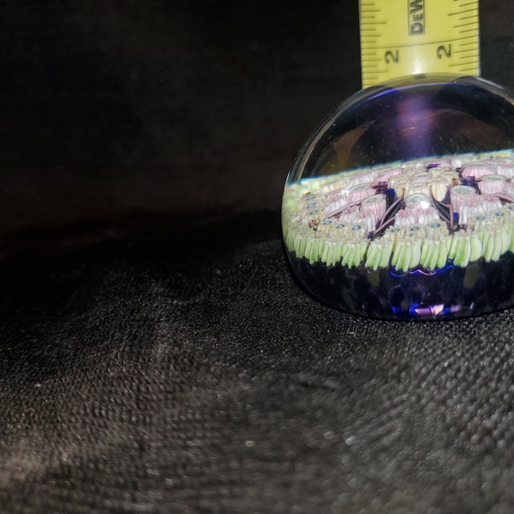 Perthshire Exquisite .millifiori  Glass Art Paperweight - Picture 8 of 11